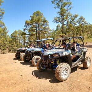 Buggy Teide Tour