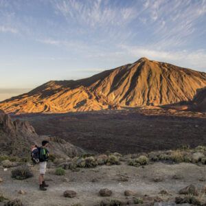 Teide Half-Day Tour