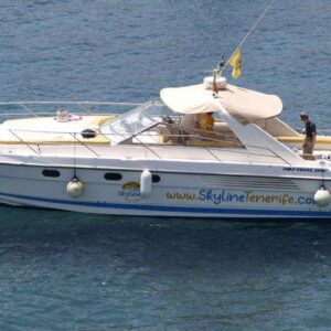 Skyline Cruiser – Luxury Boat Trips & Whale Watching in Tenerife! Private Charter