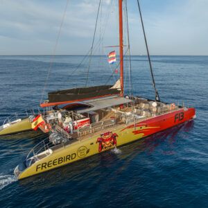 2 Hour Costa Adeje Whale Watching Boat Trip – Freebird Catamaran