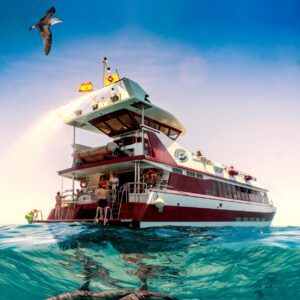 Tenerife Royal Delfin -Glass bottom experience